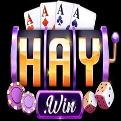 Haywinapp com's profile picture