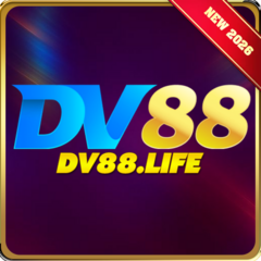 dv88 life's profile picture