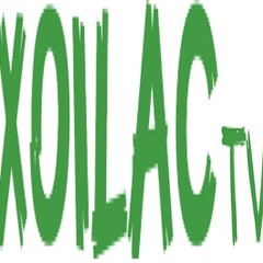 Xoilac tv's profile picture