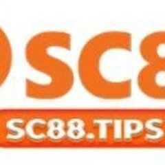 Trang Chu SC's profile picture