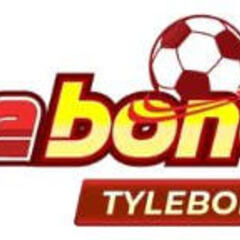 tylebongda io's profile picture