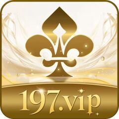 197VIP net's profile picture