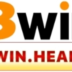 13Win  health's profile picture