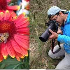 Mani Shrestha's profile picture