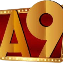 A9play 365's profile picture