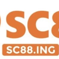 SC88 Ing's profile picture