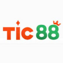 TIC88 vin's profile picture
