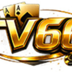 TV 66's profile picture
