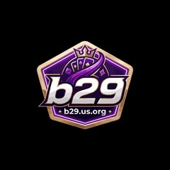 B29  us org's profile picture