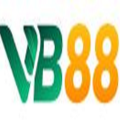 vb88 in's profile picture