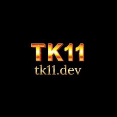 TK11 dev's profile picture