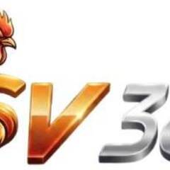 SV388 X COM's profile picture