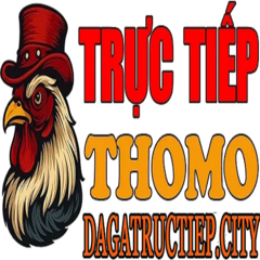 dagatructiep city's profile picture