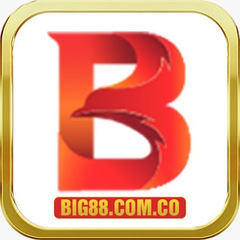 big88 com co's profile picture