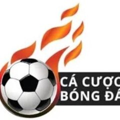 cacuocbong daone's profile picture