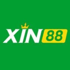 Xin888  Cocom's profile picture