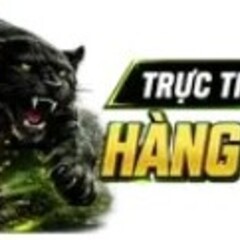 Socolive Works's profile picture