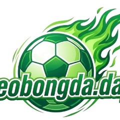 lich thi dau bong da's profile picture
