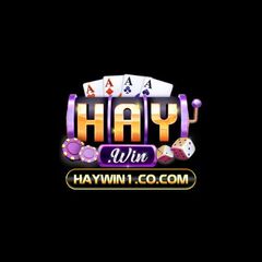 haywin1co com's profile picture