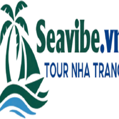 SeVibe Tours's profile picture