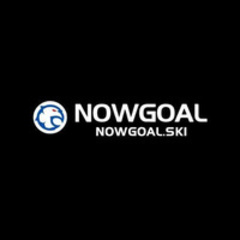 Nowgoal ski's profile picture