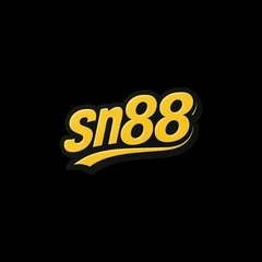 Sn88 dev's profile picture