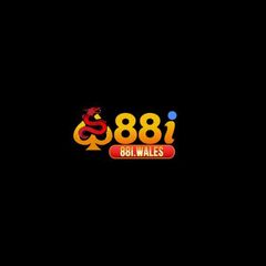 88I Wales's profile picture