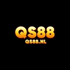 Qs88 nl's profile picture