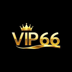 VIP66 LIVE's profile picture