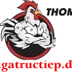 dagatructiep de's profile picture