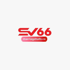 Sv66  in net's profile picture
