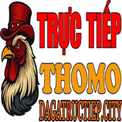 DA GA TRUC TIEP's profile picture