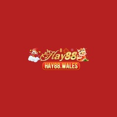 hay88 wales's profile picture