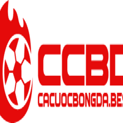 cacuocbongda best's profile picture