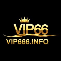 vip666  info's profile picture