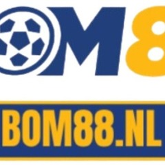 Bom88  nl's profile picture