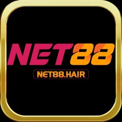 Net88 hair's profile picture