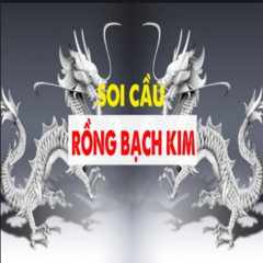 rongbachkim24h org's profile picture