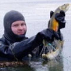 Bjarni Kristjánsson's profile picture