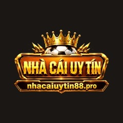Nhacaiuytin88 pro's profile picture