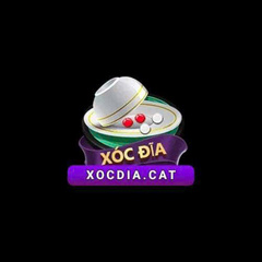 xocdia cat's profile picture