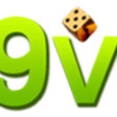 69 VN's profile picture