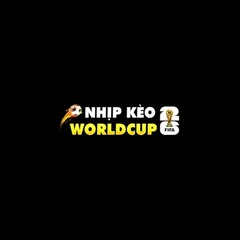 6Metreworldcup com's profile picture