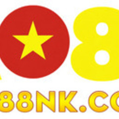 AO88 com's profile picture