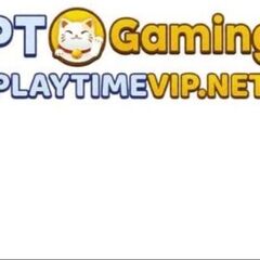 PlayTime Official's profile picture