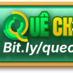 Quê Choa TV Live Com's profile picture