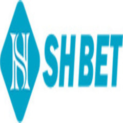 Shbetlv  com's profile picture