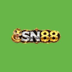 SN88 BR COM's profile picture