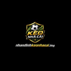 Nhandinhkeonhacai blog's profile picture