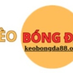 Keobongda88 org's profile picture